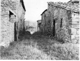 badia1920-2